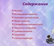 Presentazione sulla lingua russa sul tema “Omonimi e loro tipi” download gratuito