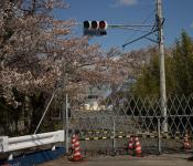 Akibat kecelakaan Fukushima bagi Jepang dan seluruh dunia
